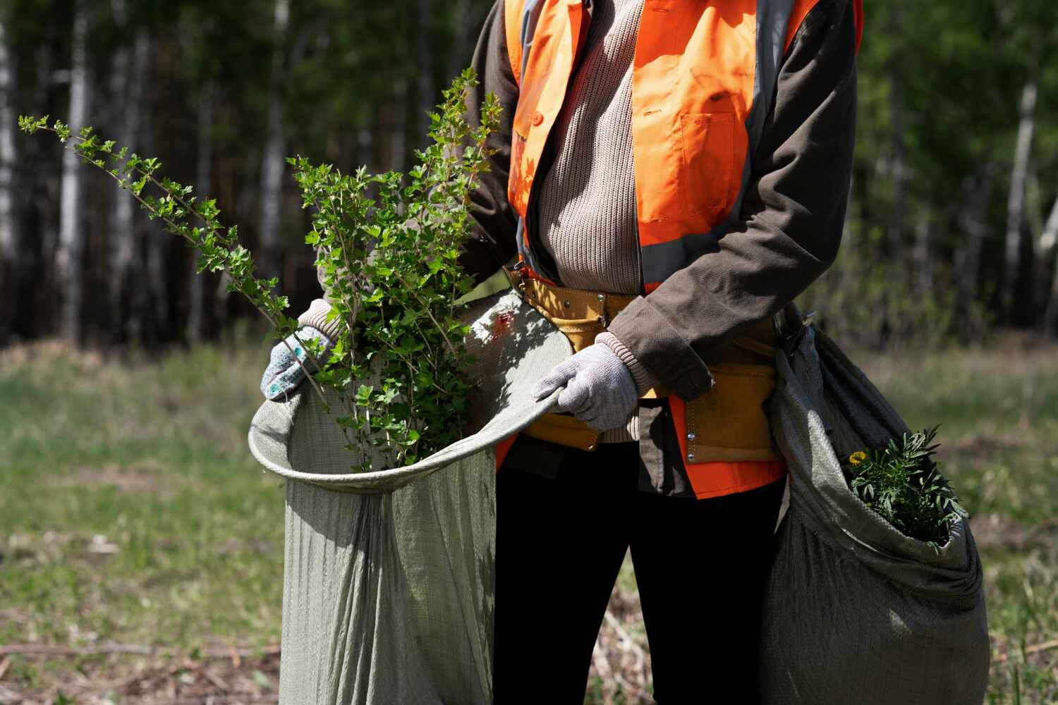 Best Large Tree Removal  in Blackwells Mills, NJ